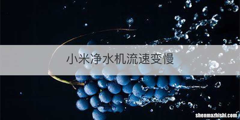小米净水机流速变慢