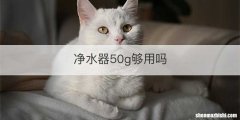 净水器50g够用吗