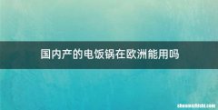 国内产的电饭锅在欧洲能用吗
