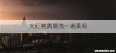大红袍需要洗一遍茶吗