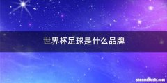 世界杯足球是什么品牌
