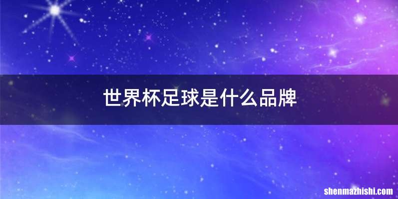 世界杯足球是什么品牌