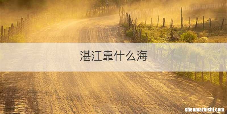 湛江靠什么海