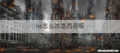 ns怎么改墨西哥服