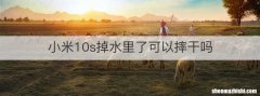 小米10s掉水里了可以摔干吗