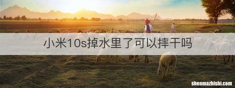 小米10s掉水里了可以摔干吗