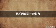足球想和你一起绍兮