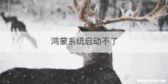 鸿蒙系统启动不了