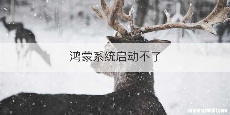 鸿蒙系统启动不了