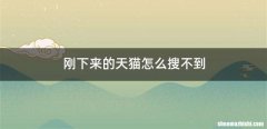 刚下来的天猫怎么搜不到