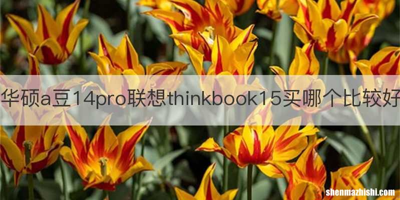 华硕a豆14pro联想thinkbook15买哪个比较好