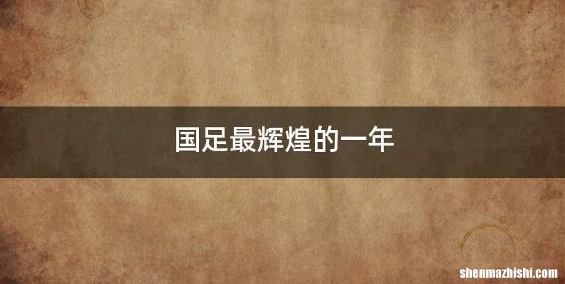 国足最辉煌的一年