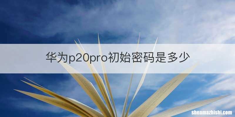 华为p20pro初始密码是多少