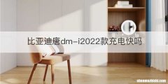 比亚迪唐dm-i2022款充电快吗