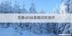 悠唐d598音响试听测评