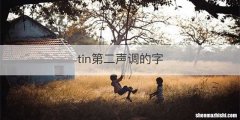 tin第二声调的字