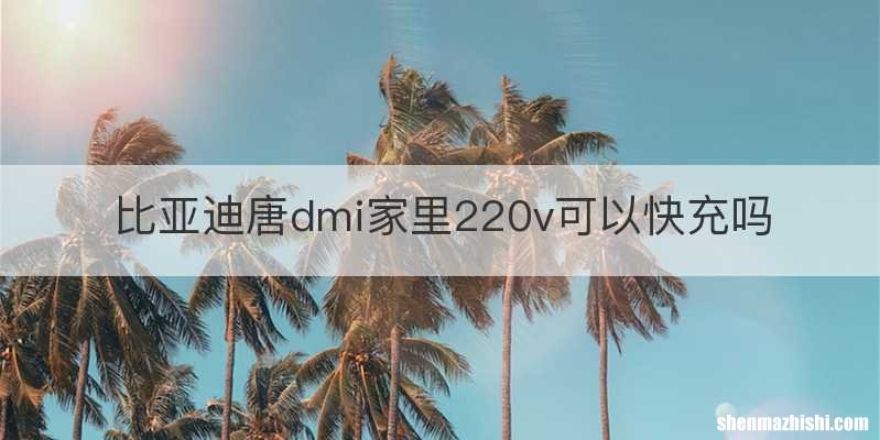 比亚迪唐dmi家里220v可以快充吗