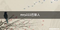 mry222巴黎人
