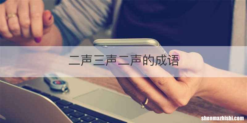 二声三声二声的成语