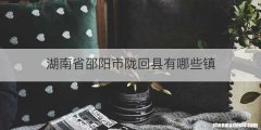 湖南省邵阳市陇回县有哪些镇