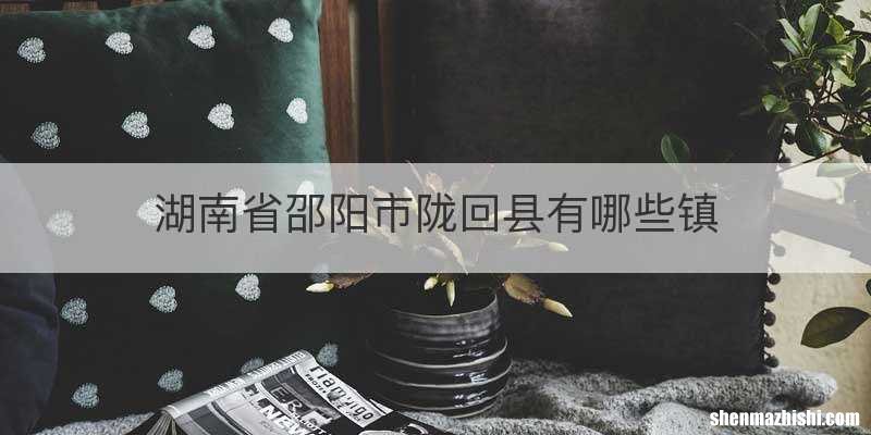 湖南省邵阳市陇回县有哪些镇