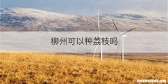 柳州可以种荔枝吗