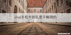 vivo手机卡托孔是干嘛用的