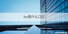 lsy是什么口红