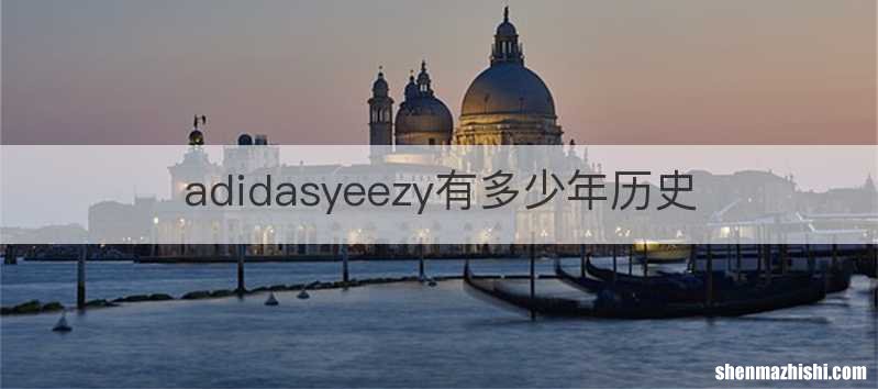 adidasyeezy有多少年历史