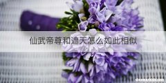 仙武帝尊和遮天怎么如此相似