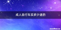 成人自行车买多少速的