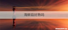 海鲜菇好熟吗