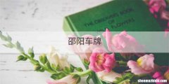 邵阳车牌