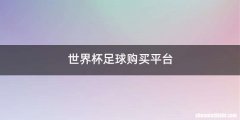 世界杯足球购买平台