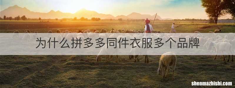 为什么拼多多同件衣服多个品牌