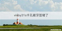 vivoy31s卡孔被牙签堵了