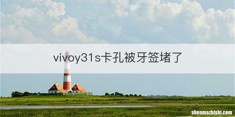 vivoy31s卡孔被牙签堵了