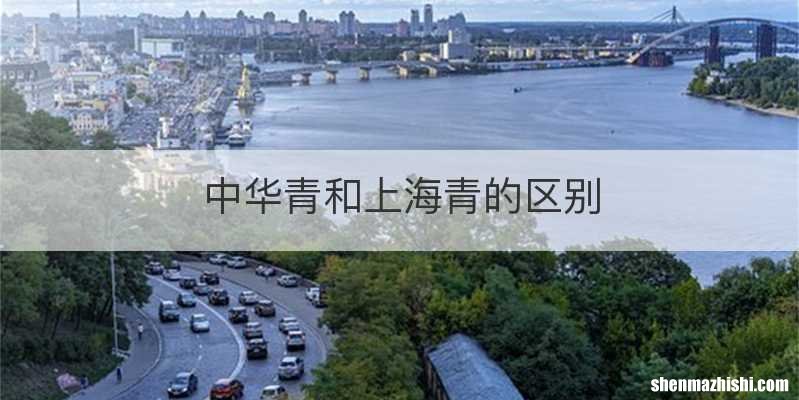 中华青和上海青的区别