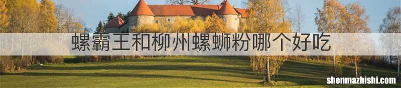 螺霸王和柳州螺蛳粉哪个好吃