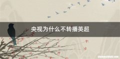 央视为什么不转播英超