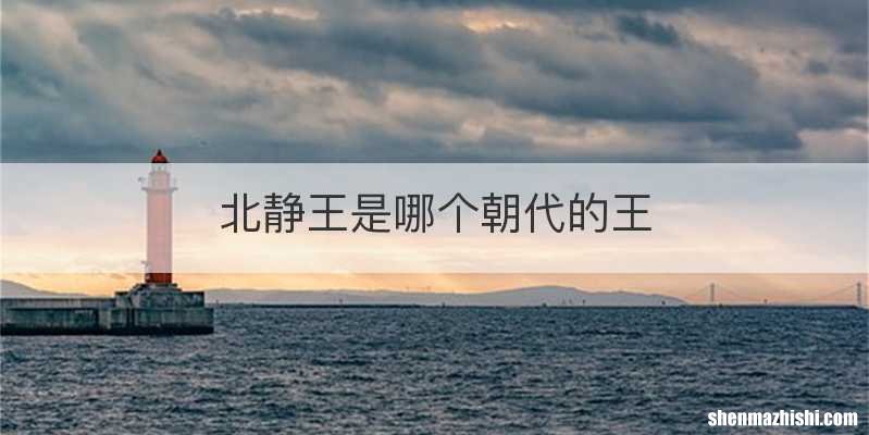 北静王是哪个朝代的王