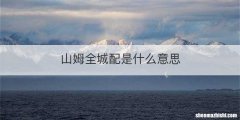 山姆全城配是什么意思