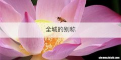 全城的别称