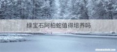 绿宝石阿柏蛇值得培养吗