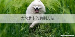 大块萝卜的腌制方法
