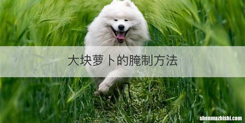 大块萝卜的腌制方法