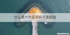 什么是大片区项目开发经验