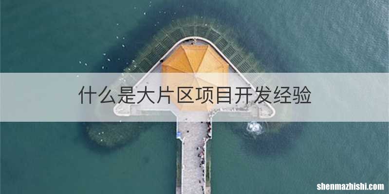 什么是大片区项目开发经验