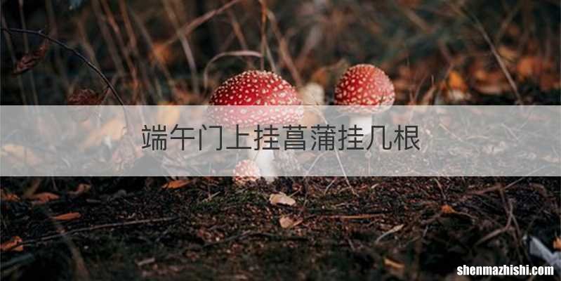 端午门上挂菖蒲挂几根
