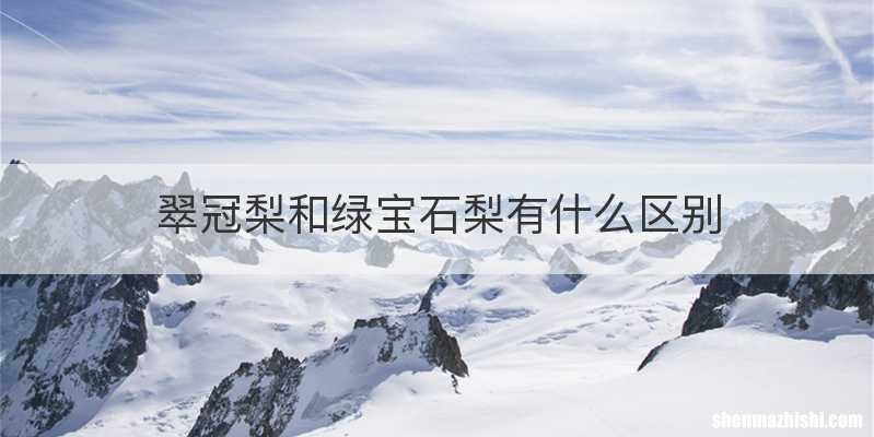 翠冠梨和绿宝石梨有什么区别
